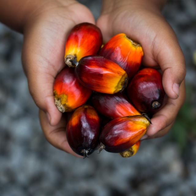 ESTI CHEM is RSPO certified in use of palm oil